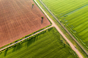agricultural fields at the crossroads, aerial view