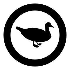 Duck Male mallard Bird Waterbird Waterfowl Poultry Fowl Canard silhouette in circle round black color vector illustration solid outline style image