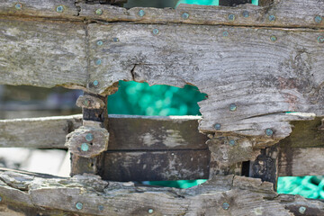 Decayed wood of old boat with bright green visible through gaps