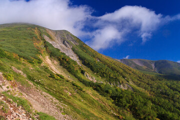 Fototapeta na wymiar 大雪山国立公園緑岳の紅葉