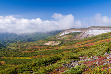 Fototapeta na wymiar 大雪山国立公園緑岳登山道の紅葉