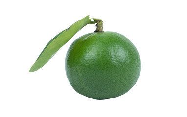 lime with leaf isolated on white background. clipping path