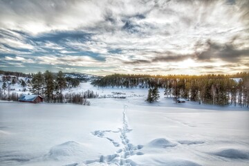 Path through the snow in Swedish Lapland