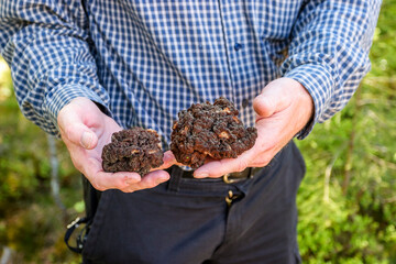 Man holding morels in his hands