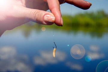 a female hand holds a hook on which a fly larva hangs. hook fish bait