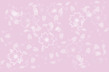 Beautiful soft pink cherry blossom japanese traditional style wallpaper and background.