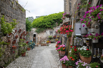 borgo di Caserta vecchia