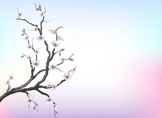 Cherry blossom drawing, sakura flower vector
