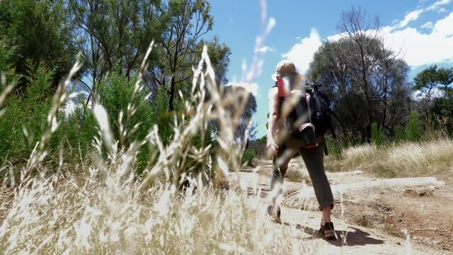 Woman with backpack on footpath in landscape, Victoria, Australia