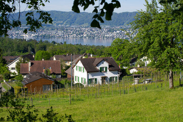 Fototapeta na wymiar Panoramic view form hill at City of Zurich at lake Zurich at springtime. Photo taken May 28th, 2021, Zurich, Switzerland.