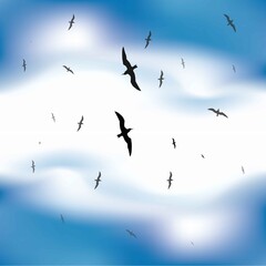 Flock of Birds
