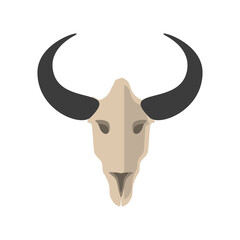 bull skull boho