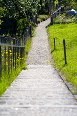 Old stairs made fo paving stones at City of Zurich at springtime. Photo taken May 28th, 2021, Zurich, Switzerland.