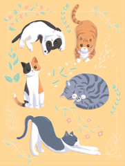 Colourful cats with flowers in yellow background	
