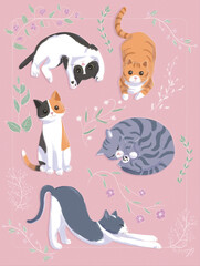 Colourful cats with flowers in pink background	