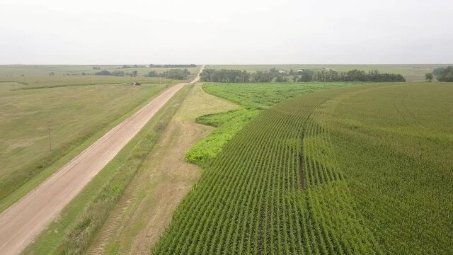 Aerial Forward Shot Of Green Landscape Against Clear Sky, Pathway In Field - Oakley, Kansas