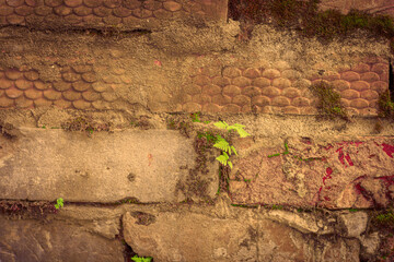Brick wall in different colors and shades. Red to purple. Fern leaves are green with a shade of yellow. Traces of cement mortar are visible on the wall