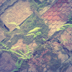 Brick wall in different colors and shades. Red to purple. Fern leaves are green with a shade of yellow. Traces of cement mortar are visible on the wall