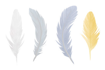 Colorful hand-drawn illustration of 4 feathers on white background 