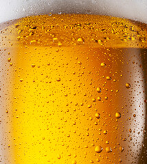 Cooled glass of beer close-up.  Small water drops on cold surface of beer glass.