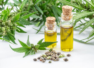 Cannabis plant, seeds and hemp oil isolated on white background. Close up.