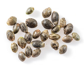 Cannabis seeds isolated on white background. Close up.