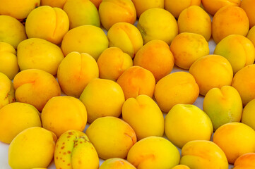 apricots scattering on a light surface close-up