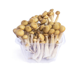 Shimeji Mushrooms, Brown beech mushrooms isolated on white background