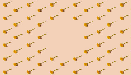 Pattern with dandelion flowers, with copy space. Herbalism or nature concept.