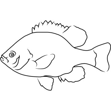recommend clip art: Pumpkinseed Hand sketched, hand drawn vector clipart