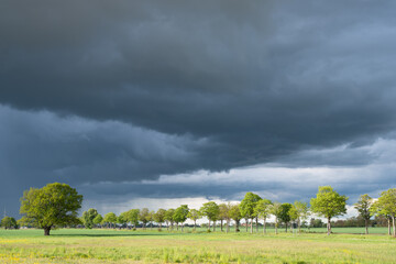 Thunderclouds are developing over the wide field