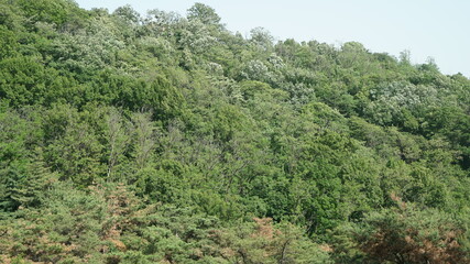 Fototapeta premium Mountain Scenery at Spring Sunny day