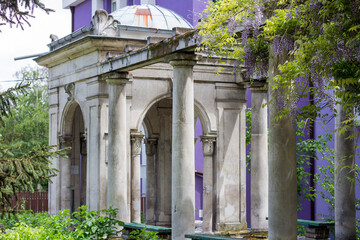 Stone columns in front of a building and wisteria plant