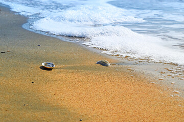 Fototapeta na wymiar Sand beach. Sea shore. Sunny day.