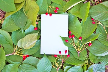 敷き詰められたソメイヨシノの桜の葉と実の上に置かれた白紙の長方形のカードのモックアップ - obrazy, fototapety, plakaty