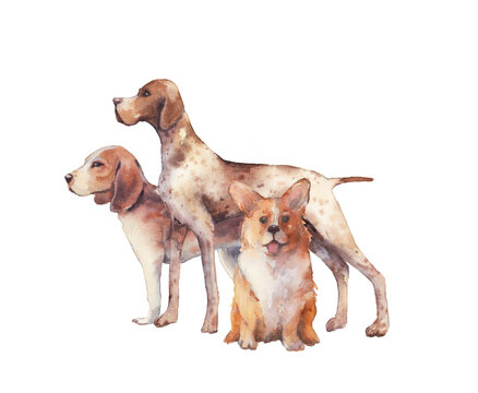 Watercolor dogs illustration. Three various dog group isolated on white background.