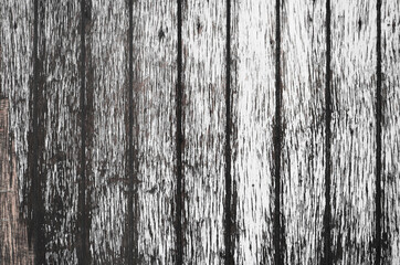 Texture of black and white wood board that has been weathered and the bark has peeled off