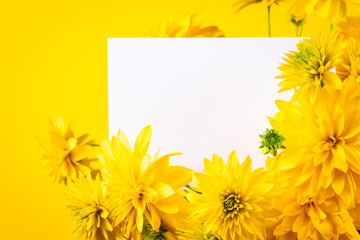 Blank greeting card in frame of yellow flowers. Trendy minimalism. Invitation, place for text.