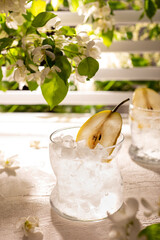 Obraz na płótnie Canvas Glass of fresh iced lemonade in a summer garden