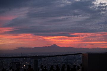 渋谷から富士を仰ぐ
