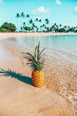 Perfect big pineapple at the beach in the ocean with blue skies and palm trees