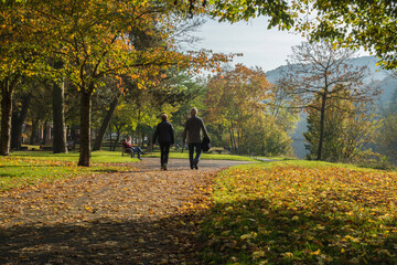 spaziergang im herbstlichen park