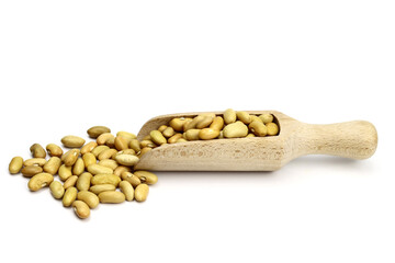 kidney beans in wooden scoop isolated on white background