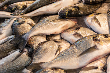A Stack of fresh fish on ice at a fish and seafood market in Athens, Greece.