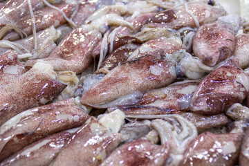 Fresh squid on the ice in the market. A stack of fresh seafood in a fish market in Athens, Greece