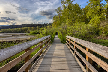 View of a Wooden Path qith fresh green trees in Shoreline Trail, Port Moody, Greater Vancouver, British Columbia, Canada. Trail in a Modern City during a Sunny Evening.