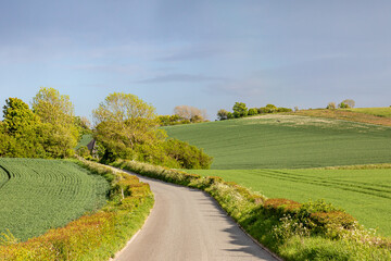 Fototapeta na wymiar A Rural Road in Sussex on a Sunny Spring Evening