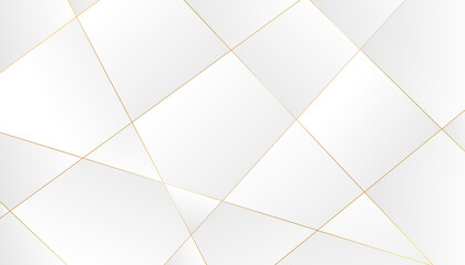 Abstract golden geometric lines pattern on white gray background. Luxury and elegant silver design. Can use for web, presentation, wallpaper, Print ad. Cover book. ETC. Vector illustration