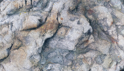 Variegated stone texture closeup with curves, bulbs,natural lines and spots. Natural textured background with copy space.
