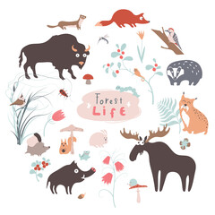 Cute funny vector forest animals in the circle